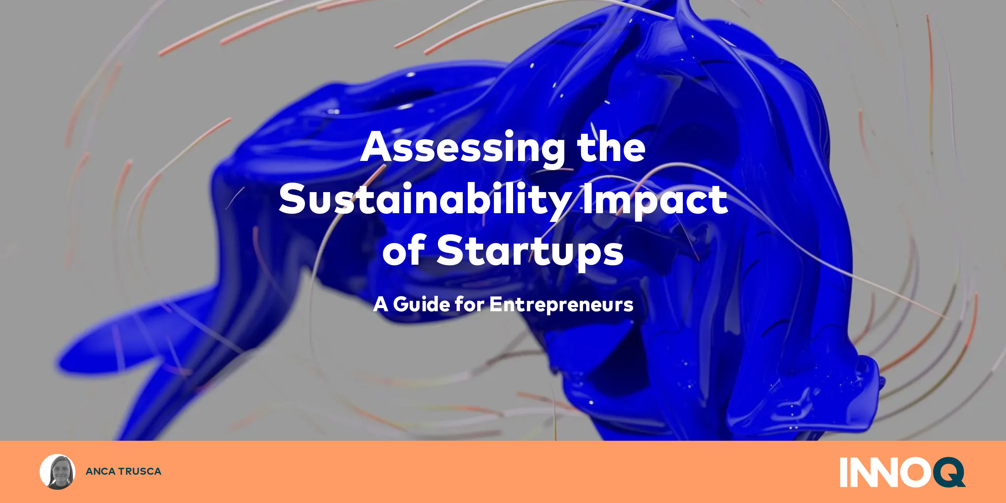 assessing-the-sustainability-impact-of-startups-a-guide-for-entrepreneurs-innoq